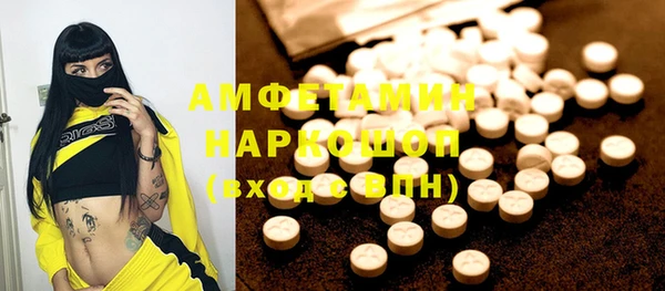 apvp Рославль