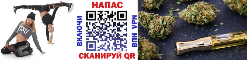 Марихуана планчик  Буй 