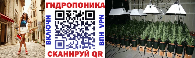 Канабис White Widow Буй